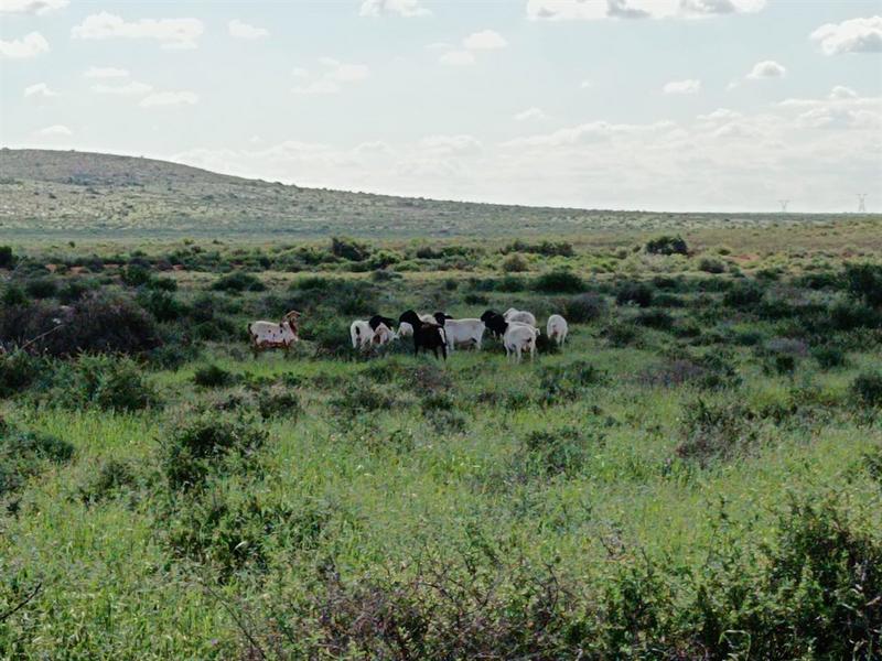 0 Bedroom Property for Sale in Prieska Northern Cape